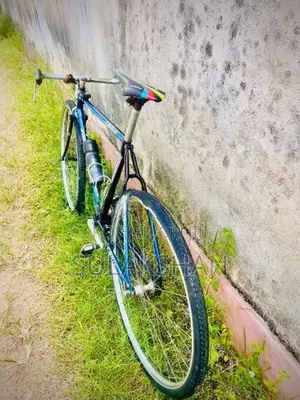 Raleigh Bicycle