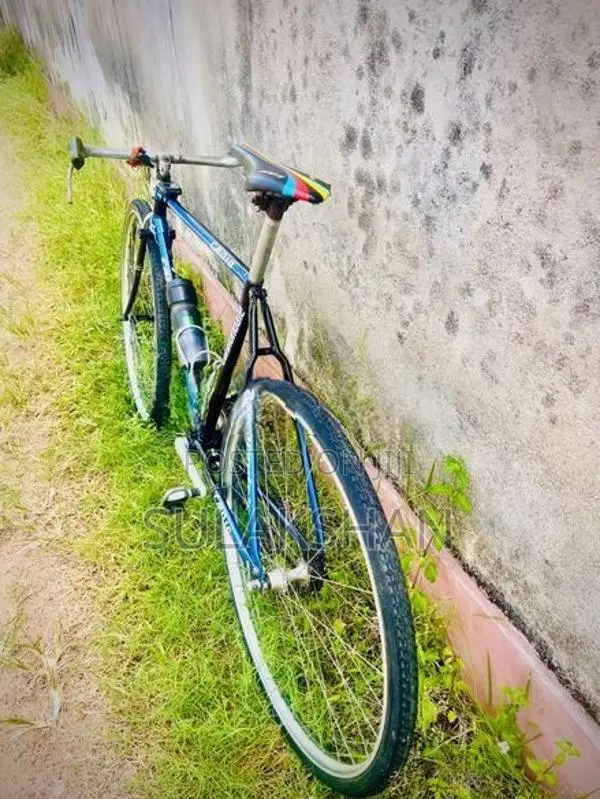 Raleigh Bicycle