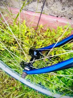 Raleigh Bicycle