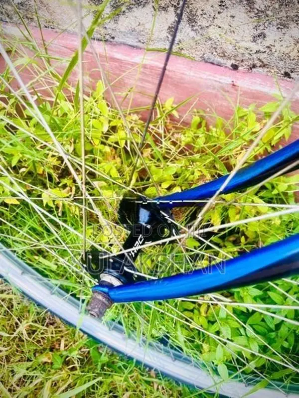 Raleigh Bicycle