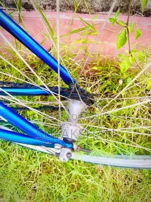 Raleigh Bicycle