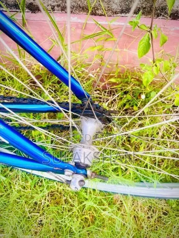 Raleigh Bicycle
