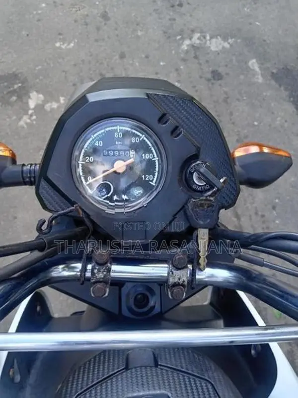 Honda Navi 2019
