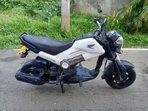 Honda Navi 2019