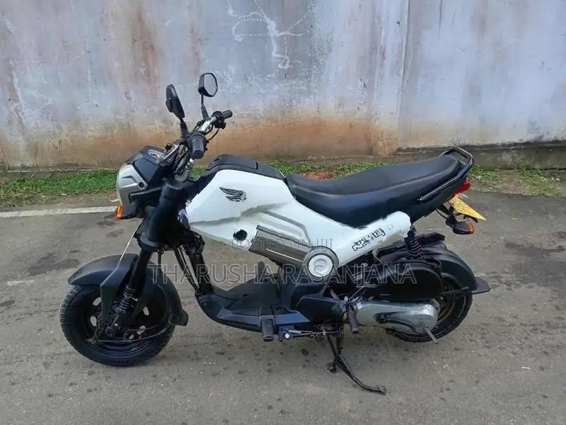 Honda Navi 2019