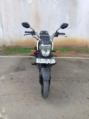 Honda Navi 2019