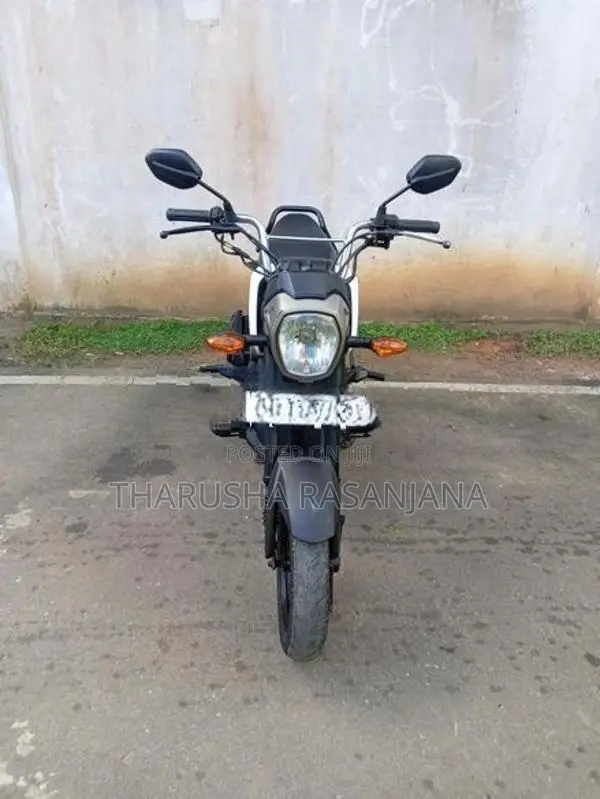 Honda Navi 2019