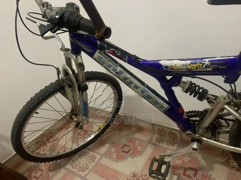 Mountain Bike