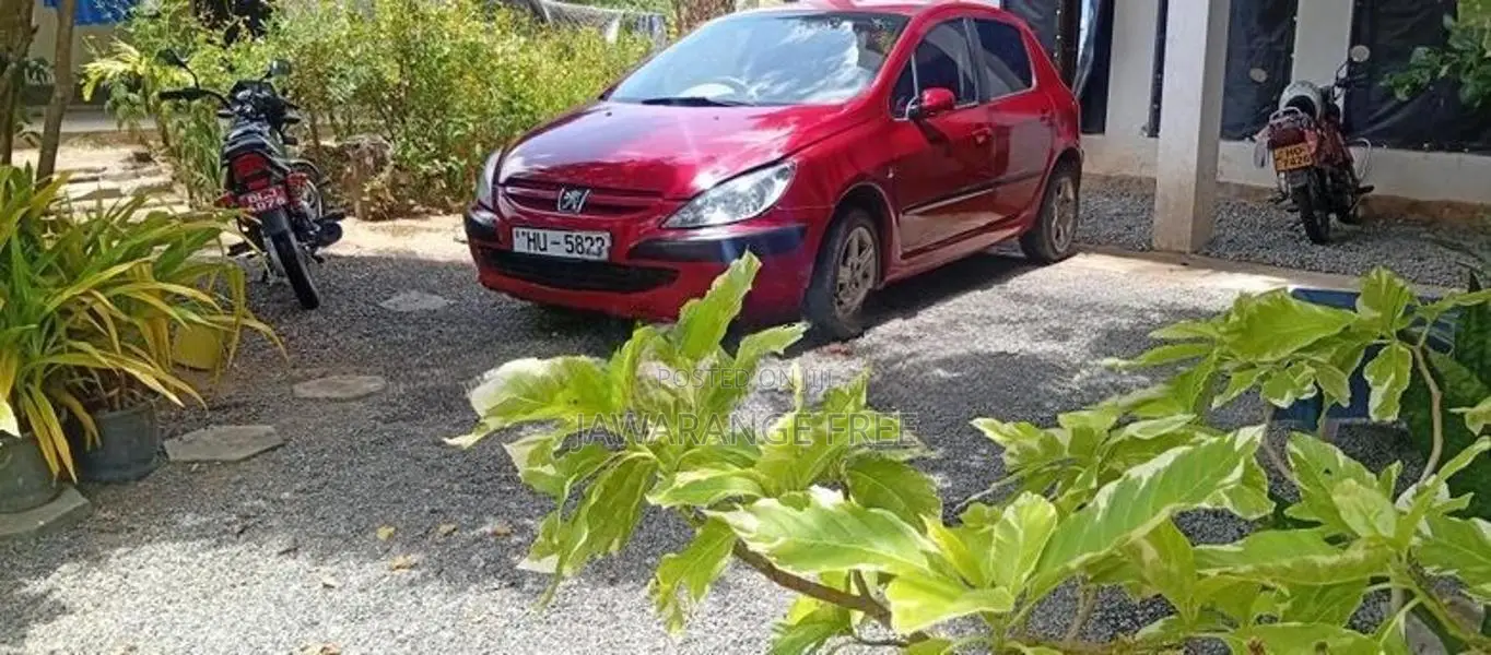 Peugeot 307 2001
