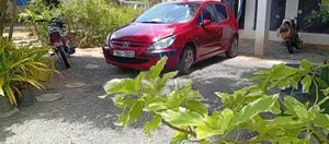 Peugeot 307 2001