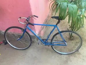 Lumala Racing Bicycle