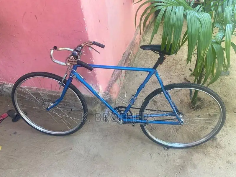 Lumala Racing Bicycle