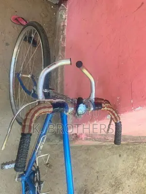 Lumala Racing Bicycle
