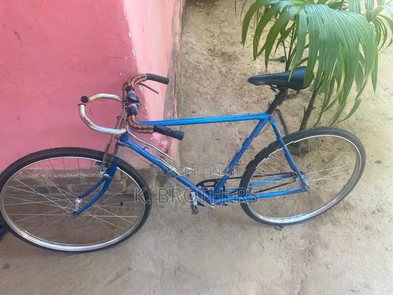 Lumala Racing Bicycle