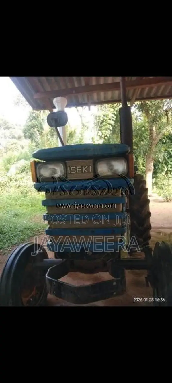 TAFE TAFE 2006 Tractor (Used)