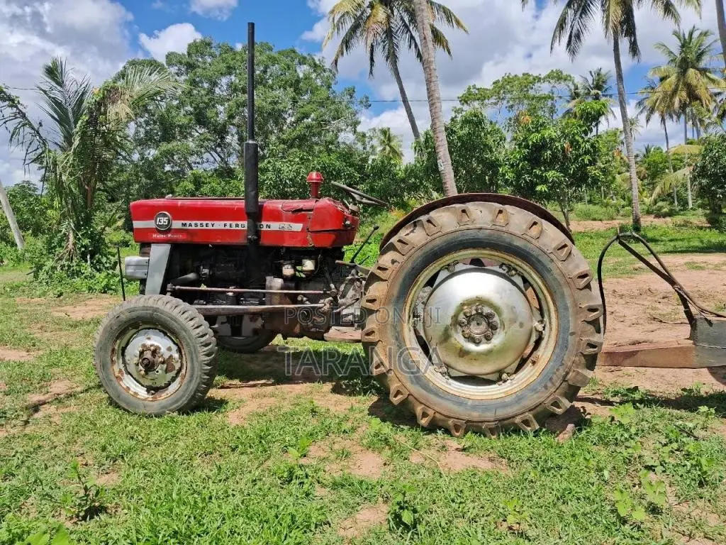 Massey-Ferguson 135 D 1980 Tractor (Used)