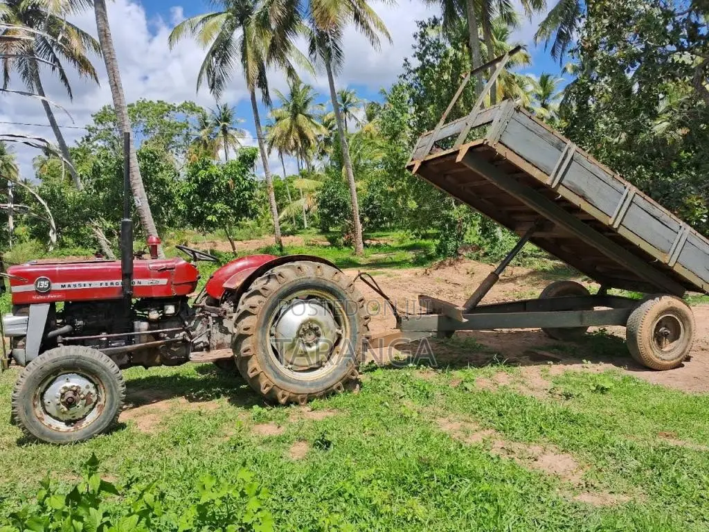 Massey-Ferguson 135 D 1980 Tractor (Used)