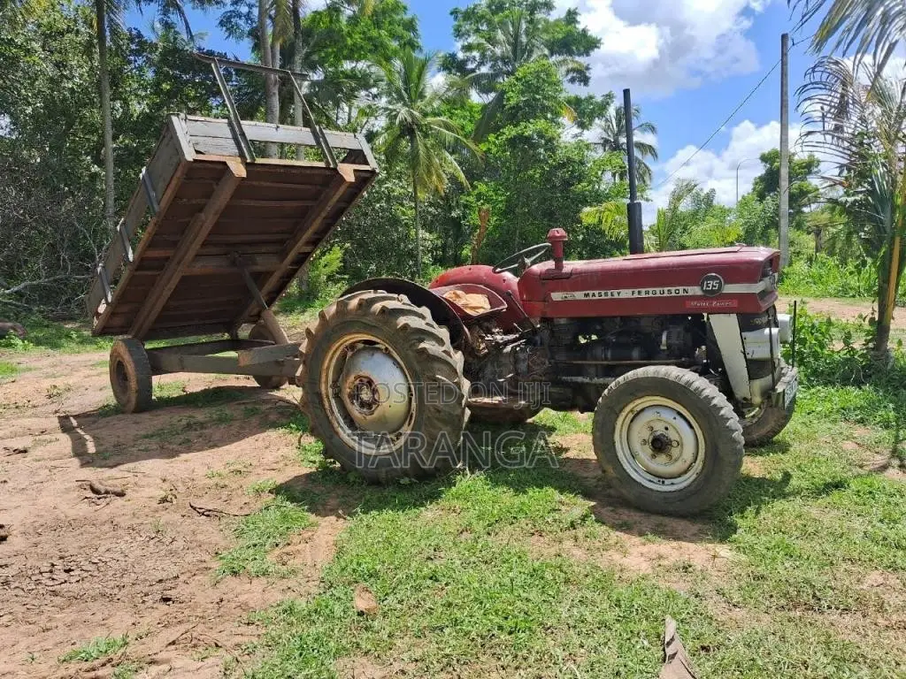 Massey-Ferguson 135 D 1980 Tractor (Used)