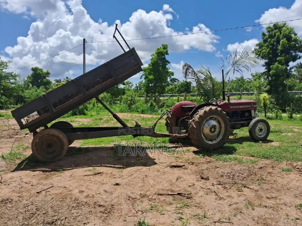 Massey-Ferguson 135 D 1980 Tractor (Used)