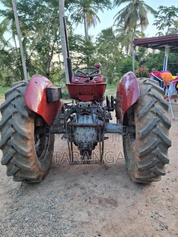 Massey-Ferguson 135 D 1980 Tractor (Used)