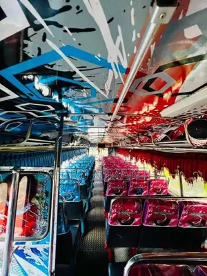 Ashok-Leyland Viking 2015 Bus (Used)