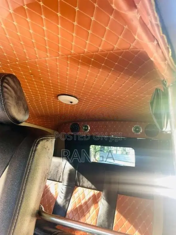 Piaggio Ape 2010 Three Wheel (Used)