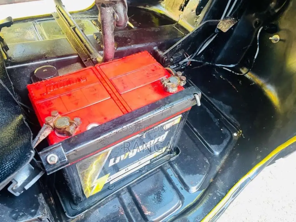 Piaggio Ape 2010 Three Wheel (Used)