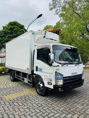 Isuzu Elf Freezer 2013 Lorry (Used)