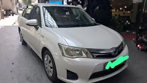 Toyota Axio 2014 Car (Used)