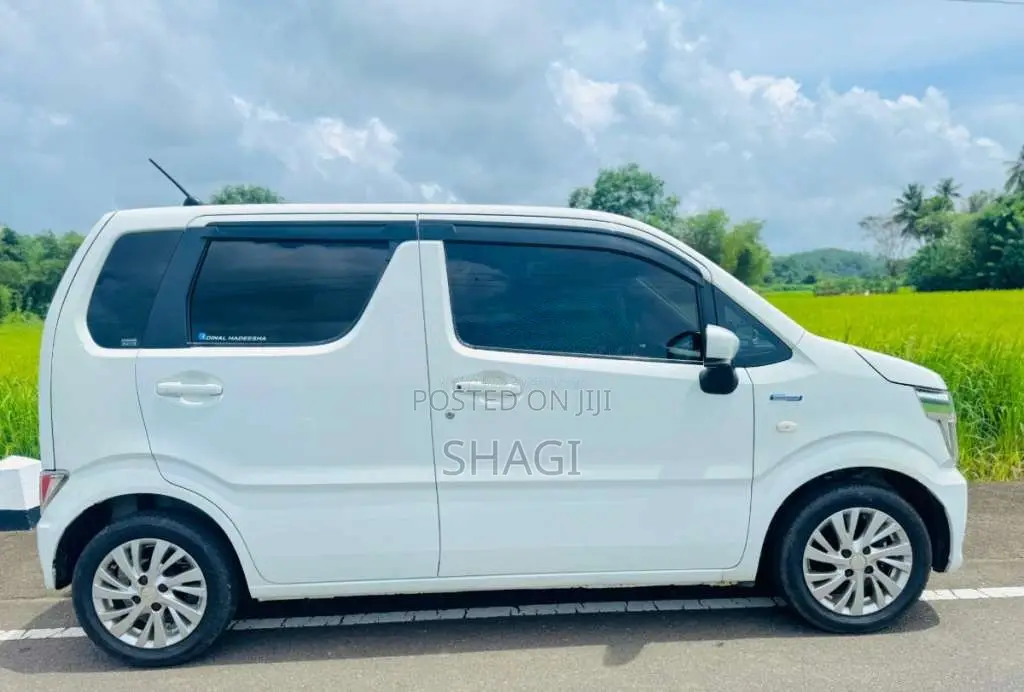 Suzuki Wagon R FX 2018 Car (Used)