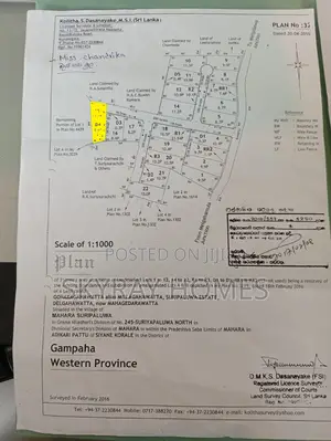Land Sale in Maigahamula