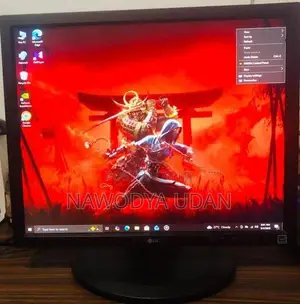 LG 19 Inch Monitor