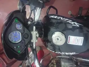 Hero Splendor 2013