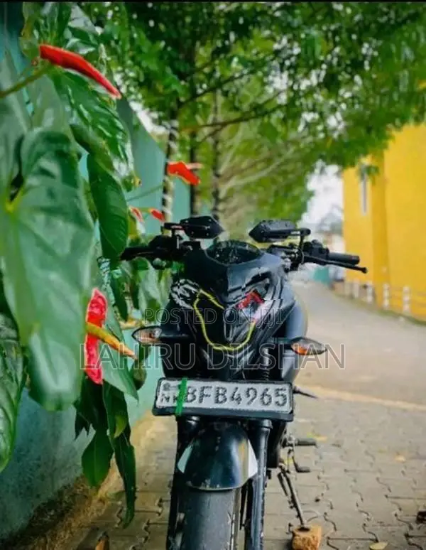 Bajaj Pulsar NS160 2017