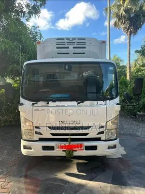 Isuzu Elf Freezer 2015