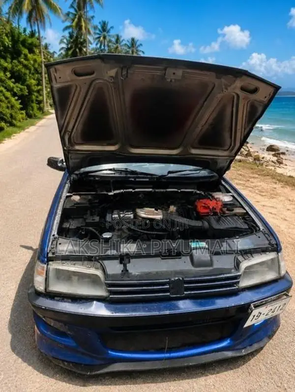 Peugeot 405 1994