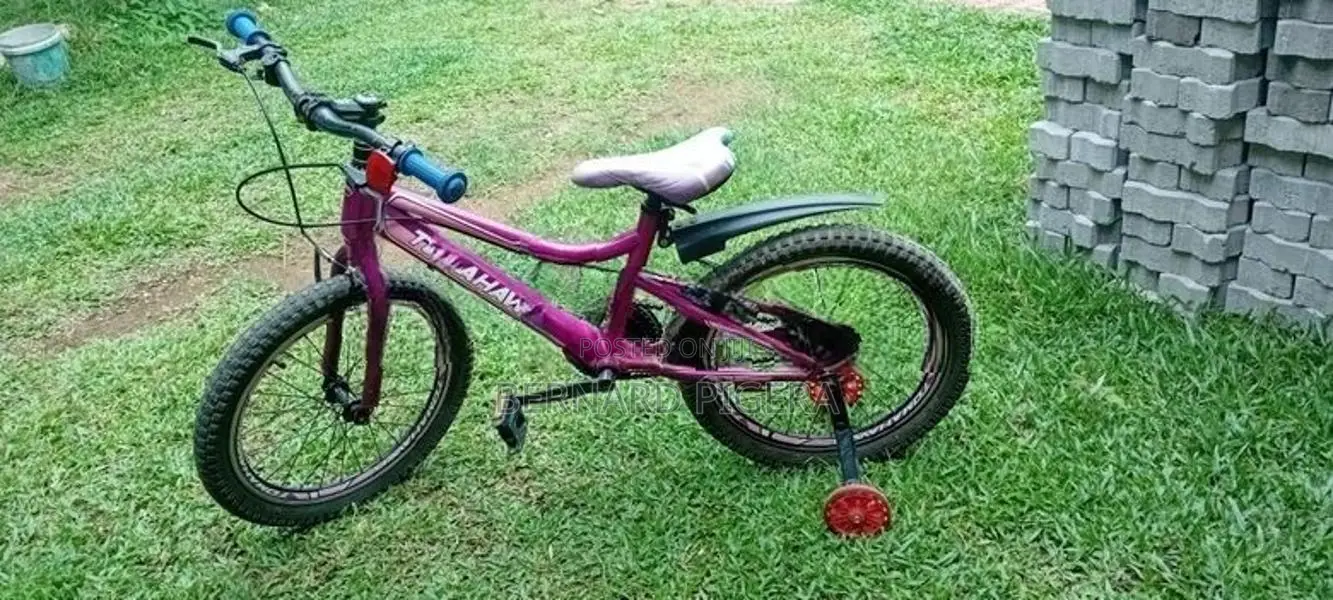 Kids Bicycle