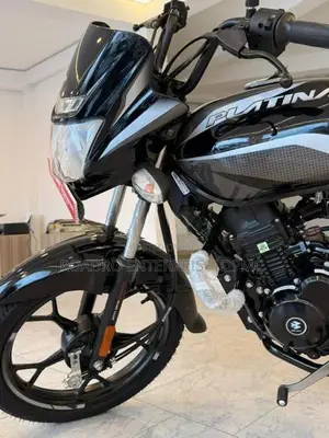 Bajaj Platina 100 ES 2026