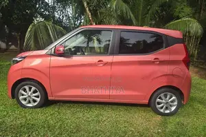 Nissan Dayz X limited 360⁰ apple 2024