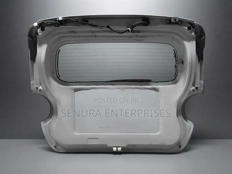 Daihatsu Cast La260 Dicky Door