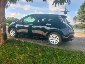 Nissan Leaf 2013