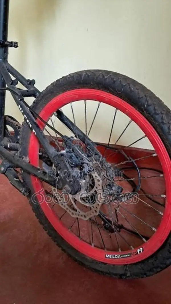 Ifreedom Folding Bike
