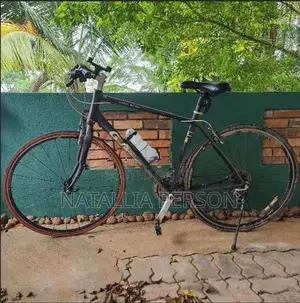 Giant Escape Bicycle
