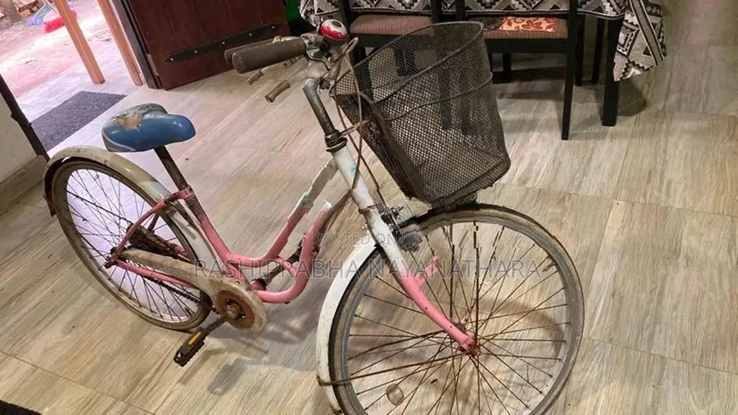 Ladies Bicycle