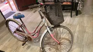 Ladies Bicycle