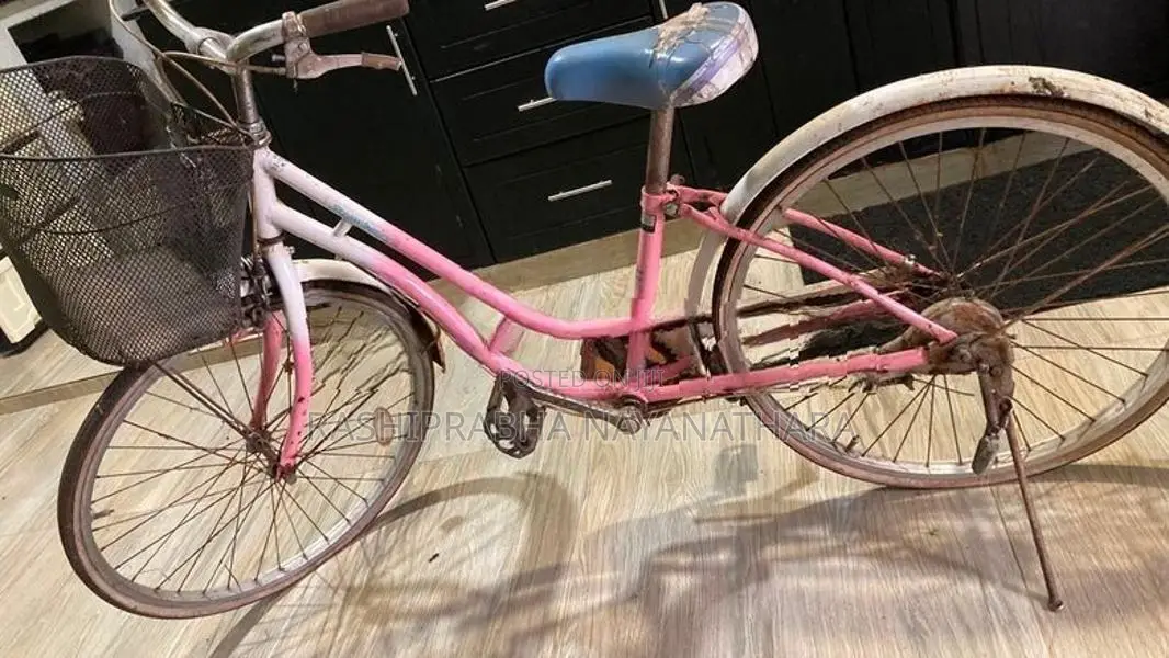Ladies Bicycle