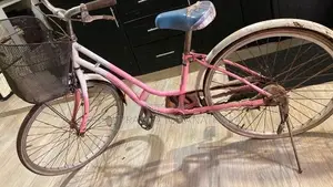 Ladies Bicycle
