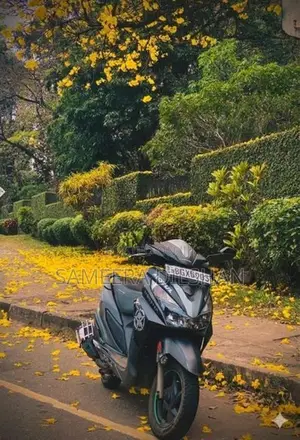 Honda Grazia 2019