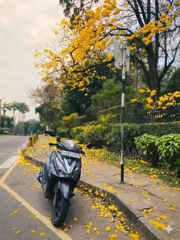 Honda Grazia 2019