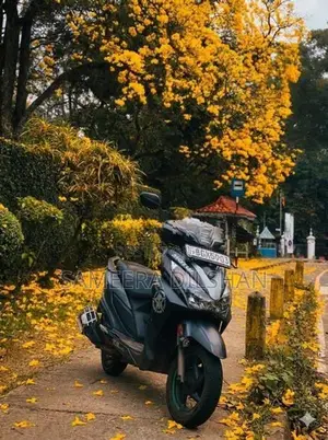 Honda Grazia 2019